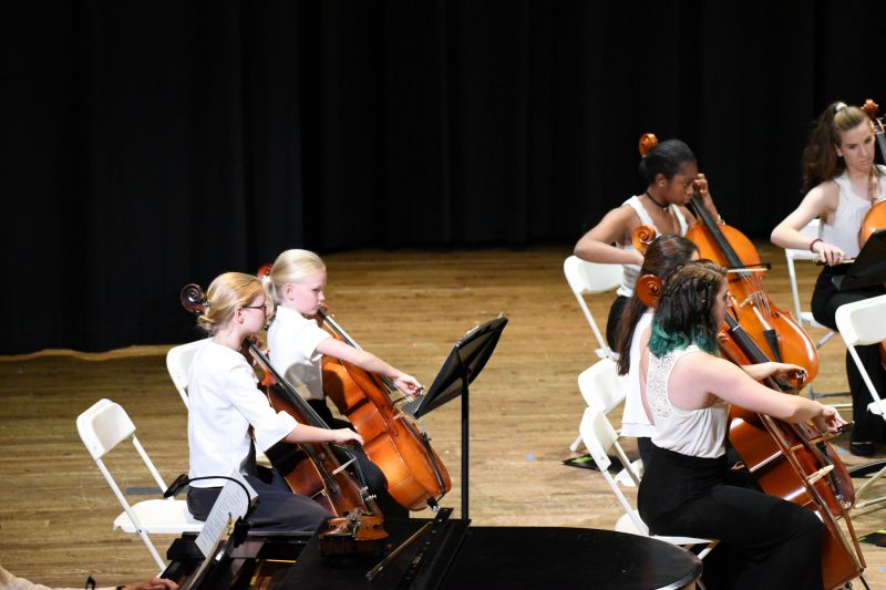 Viola, Cello, Bass ensemble concert 10