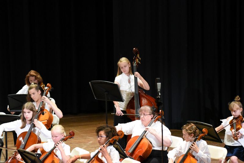 Viola, Cello, Bass ensemble concert 4