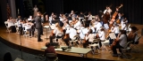 Chamber orchestra concert