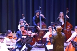 Viola/Cello/Bass Ensemble 1