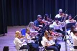 Chamber Orchestra 12